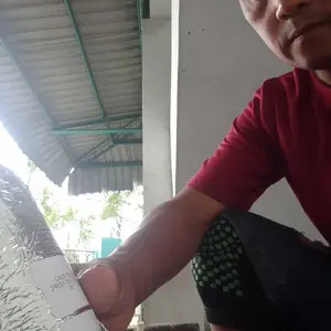 Vitamin D3+K2 10,000IU 250mcg vitamin d3,k2  Kesehatan Jantung Kesehatan Tulang&Sendi Kuat Meningkatkan Penyerapan Kalsium Meningkatkan Kekebalan Energi kesehatan tulang vit suplemen collagen 120 Capsules