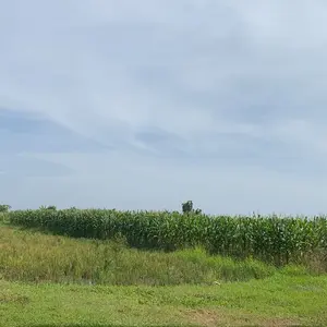 ￼jaket anak outdoor gorpcore waterproof unisex laki laki perempuan