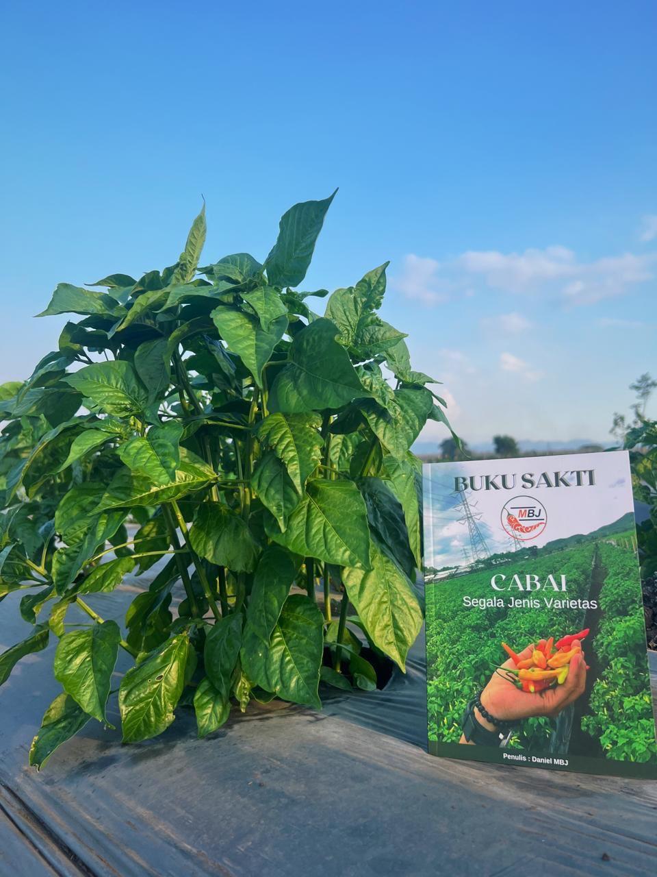 BUKU SAKTI SENIMAN PERTANIAN - Panduan Lengkap Budidaya Cabe Segala Varietas - Belum Ada Selengkap Ini #EDISI3 BUKU SAKTI SENIMAN PERTANIAN - Panduan Lengkap Budidaya Cabe Segala Varietas - Belum Ada Selengkap Ini #EDISI3