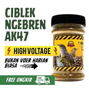 GEMA KICAU - High Voltage Ciblek Ngebren AK47 dan burung kecil lainnya Pakan Murah Berkualitas