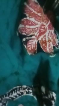 Product Review of Babydoll Setelan Baju Tidur One Set Bali Baju Tidur Pendek Celana Piyama Wanita from A**a 0