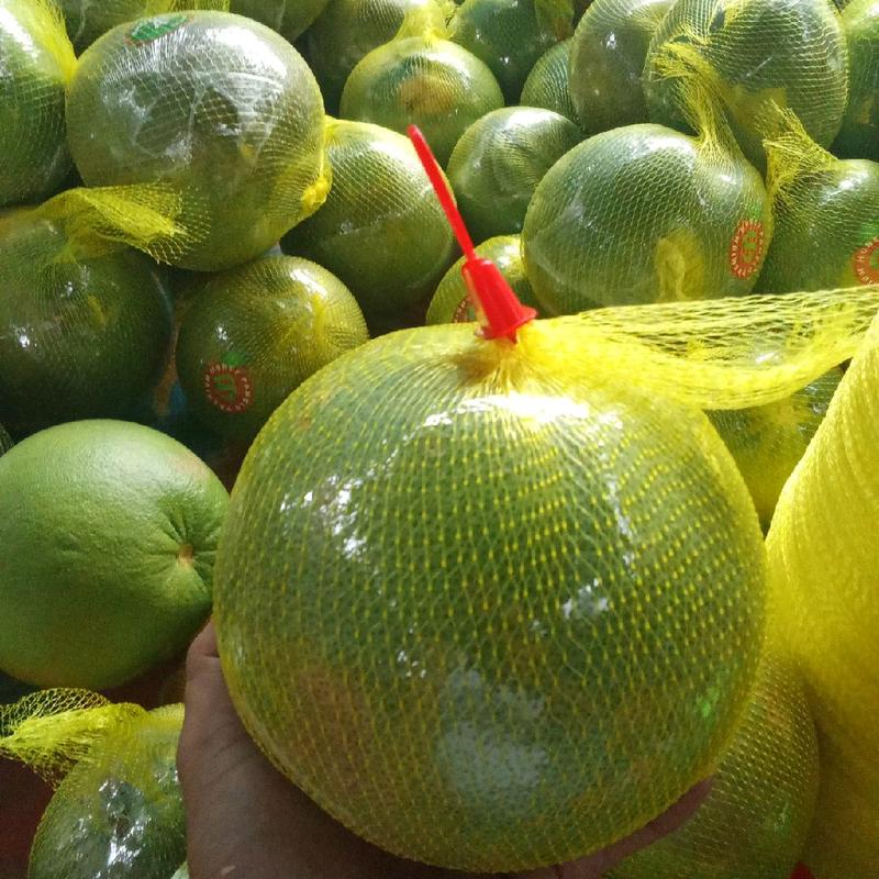 jeruk pamelo madu pati 8-9ons manis no asem,kecut, tanpa biji 0