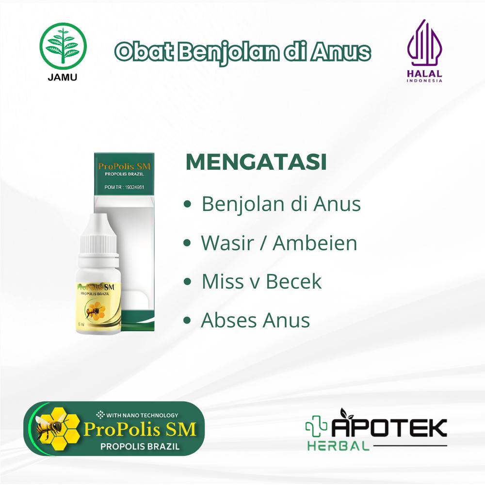 Propolis SM Untuk Benjolan di Anus Wasir Ambeien Abses Anus Bisul Penghilang Benjolan Bernanah di Anus 6ml