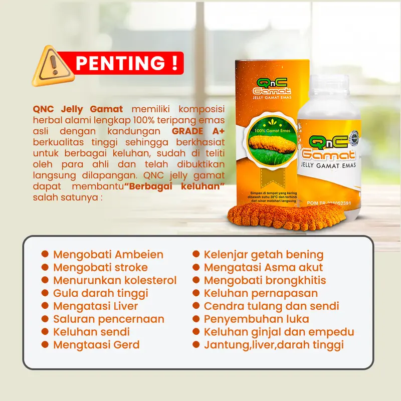QNC Jelly gamat emas herbal multikhasiat dari ekstrak teripang emas 1