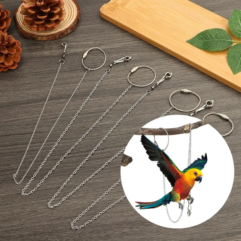 Dây Chuyền Đeo Chân Vẹt Bằng Thép Không Gỉ An Toàn, 4 Kích Cỡ, Vòng Đeo Chân Mắt Cá Chân Dây Chuyền Chân Đế Vòng Đeo Chân Chim Lắc Chân 1