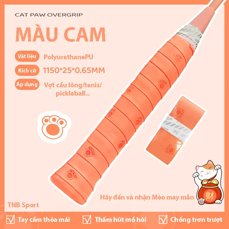 Cam