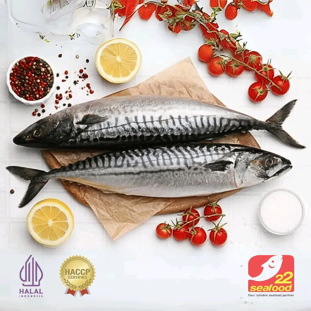 (order via Tokped) BIG PROMO!!! Ikan salem 500 gram / ikan Mackerel / seafood 22