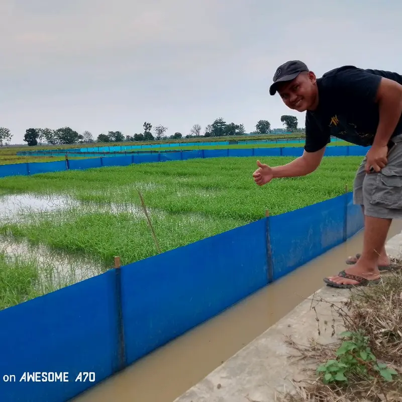 plasti pagar sawah tebal 0.22 panjang 90 meter lebar 60 cm 0
