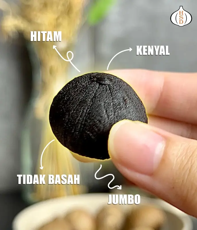4 BOTOL HSD Black Garlic 100 Gr / Bottle,  Bawang Hitam Spices 4