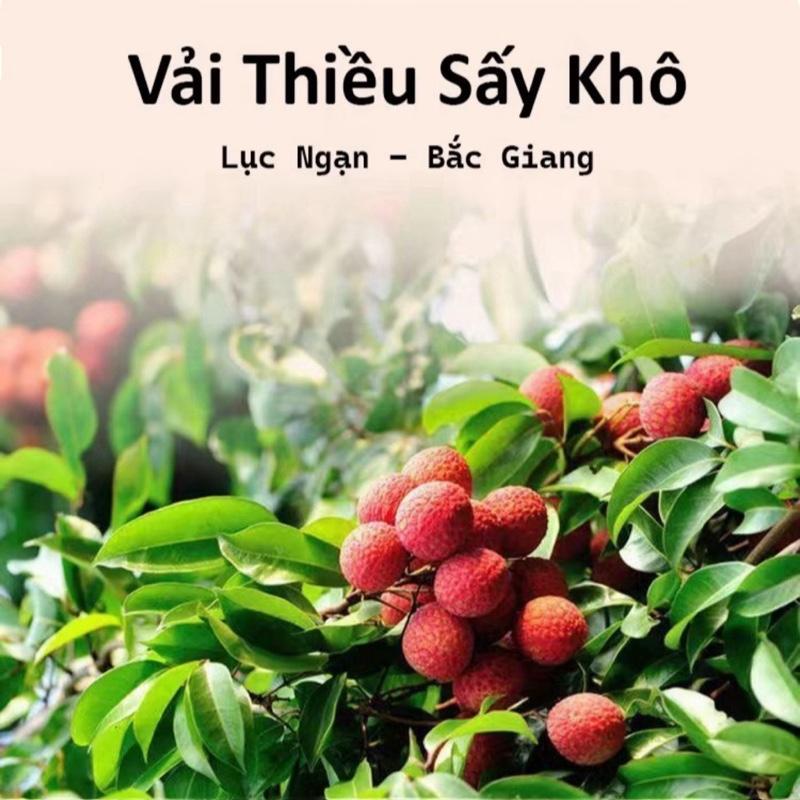 [ VIP ] Giá Sỉ COMBO 5KG Vải Thiều Sấy Khô Đặc Sản Lục Ngạn-Bắc Giang Thơm Ngon Bổ Dưỡng