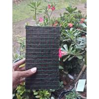 Gambar Pot Anggrek Ijuk Aren Hitam Fullpot Papan Tempel - 12x22cm dari Omah Pot Kebumen Kab. Kebumen 2 Tokopedia