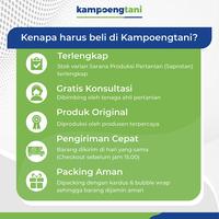 Gambar Pupuk Fertila Padi 1 500 gram Pak Tani Pupuk Untuk Padi Masa Vegetatif dari Kampoeng Tani Kab. Tuban 4 Tokopedia