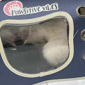 Pawsitive Vibes - Tas Ransel Selempang Jinjing Kucing Anjing Waterproof - Pet Carrier Travelling Shoulder Bag - 2in1 Pet Cargo