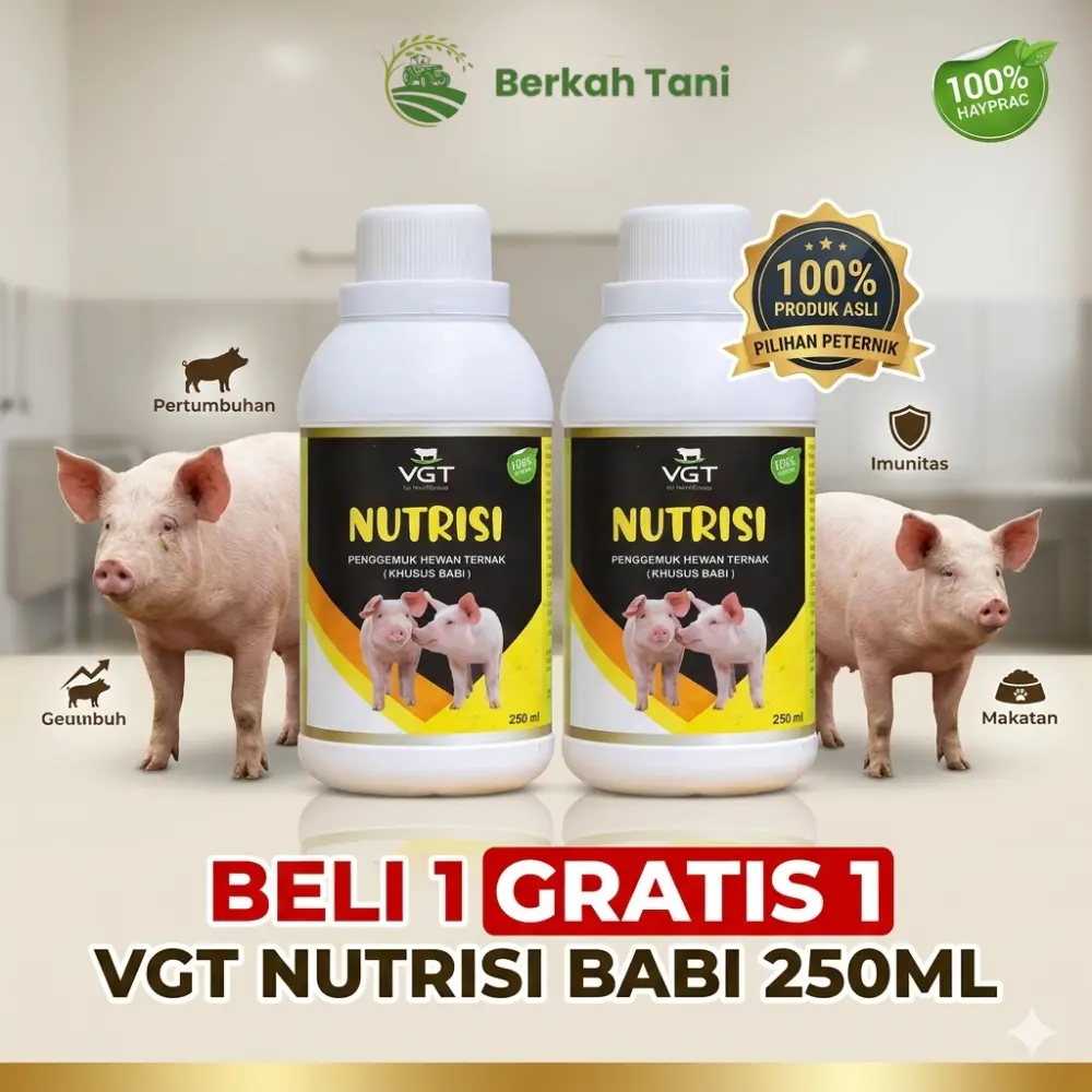 Beli 1 Gratis 1 - VGT nutrisi Ternak Babi probiotik vitamin ternak organik lebih baik dari viterna obat virus