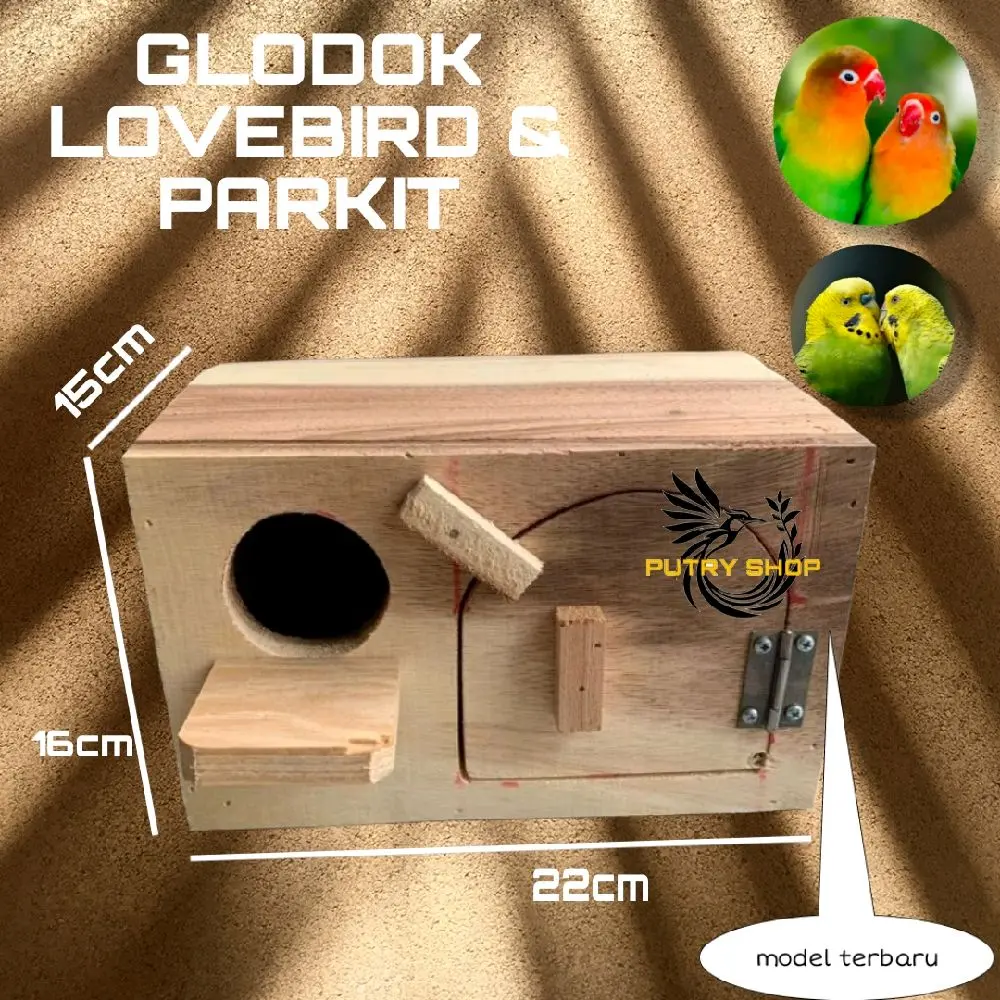 Glodok lovebird parkit model terbaru