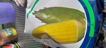 Product Review of Benih Jagung Manis MADU-59 F1 isi 250gr dari ADVANTA from E**A 0