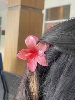 Product Review of Jepit Rambut Bali Jedai - Clips for Fashionable Hair from K**h 0