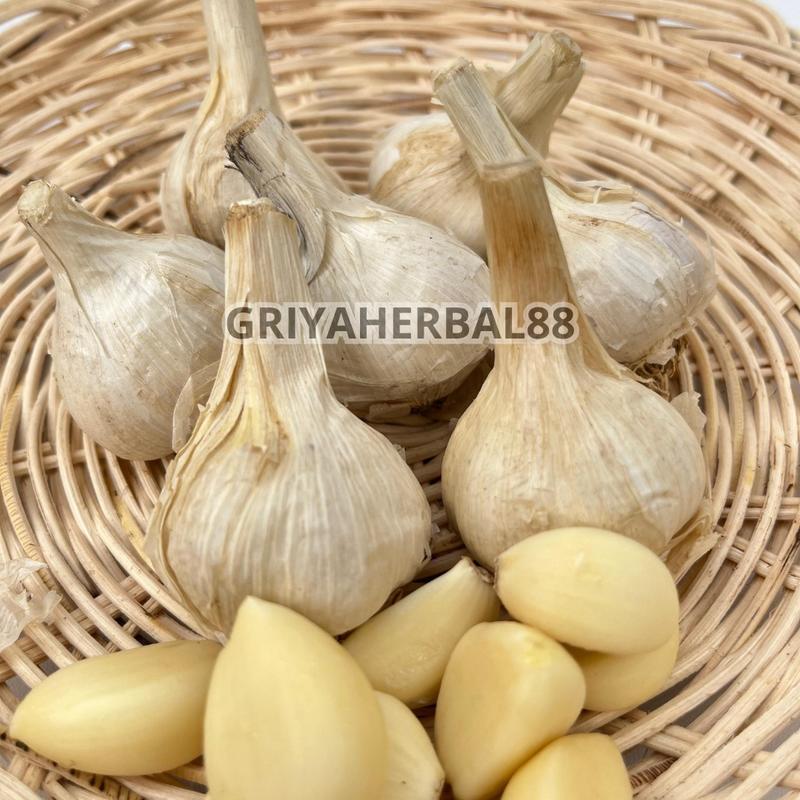 BAPUT KATING 500GR 1 KG  BAWANG PUTIH KATING FRESH 3