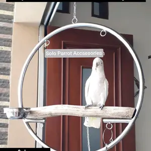 SOLO PARROT Tangkringan Ayun Bulat Burung Parrot Stainless Diameter 60 cm dengan Ring Gantungan Makanan Mainan dan Kait Rantai Rekomendasi untuk Semua Jenis Burung Parrot