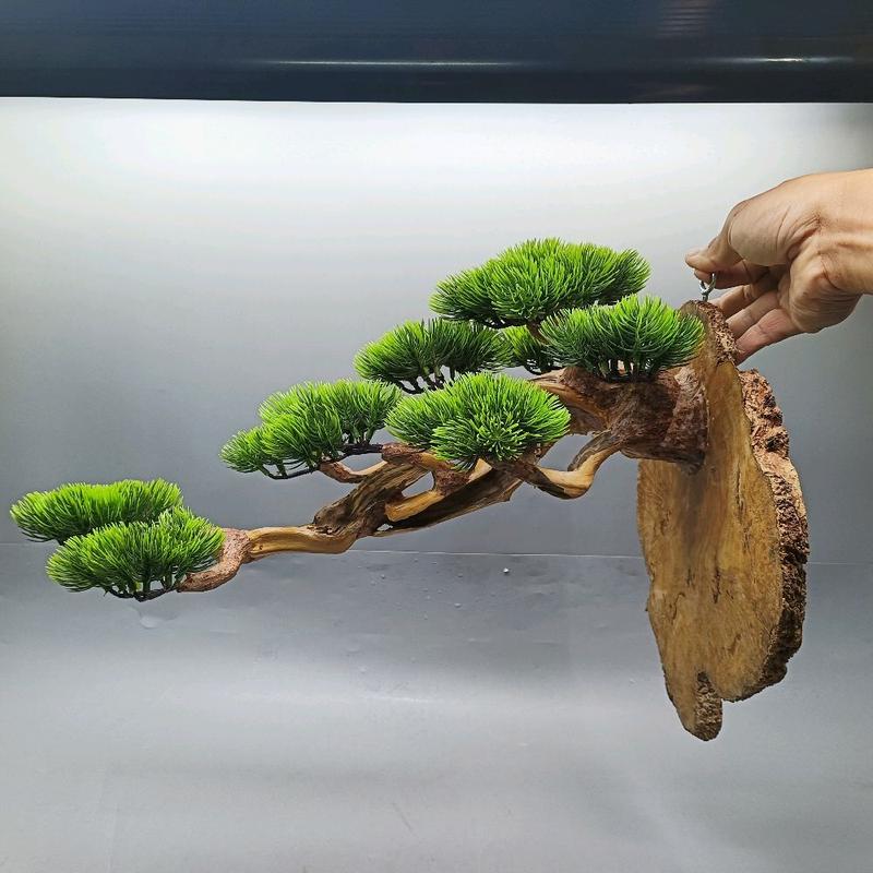  Móc treo lồng chim Chào Mào Cu Gáy Cây treo lồng chim bằng gỗ lũa tán bằng nhựa Kích thước 25cm x 45cm x 20cm .Sản phẩm lý tưởng cho nuôi chim 