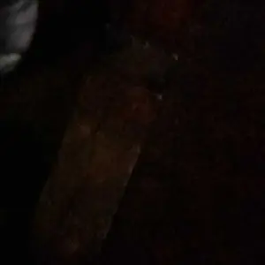 [EXCLUSIVE] Goto Living x Aurel Hermansyah Abel Alat Pel Lantai Pembersih Lantai Spin Mop Ultra #CR