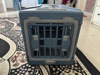 Product Review of Foldable Pet Carrier Travel Pet Airline cage Portable PlasticCat Box Large Capacity Cat Cag Accessories from N**s 1