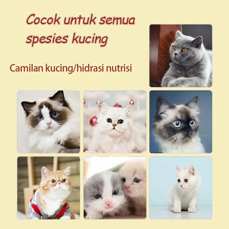 Snack Kucing cemilan kucing 16g/makanan kucing penggemuk Bergizi makanan anak kucing makanan kucing basah wet  food 4