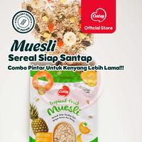 Gambar OATSY Muesli Tropical Fruit 500g (Double Pack) dari Oatsy Oatmeal & Muesli Kota Administrasi Jakarta Barat 2 Tokopedia