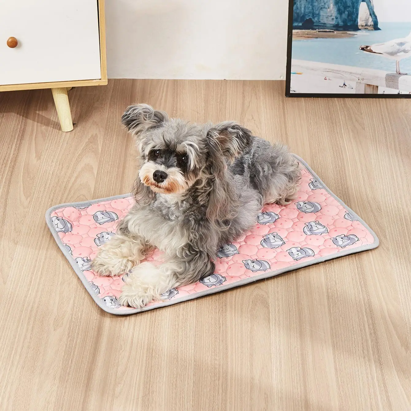 Washable Pet Pee Pad, 4 Layer Waterproof Dog Training Pad, Pet Urine Pad, Pet Supplies for Indoor, Outdoor, Travel