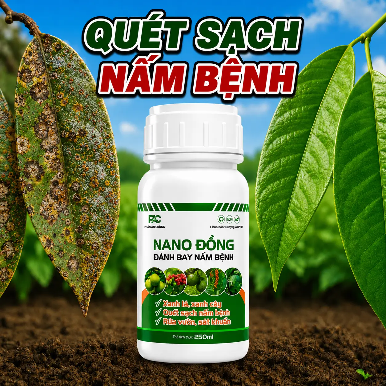 Nano Đồng - Quét Sạch Nấm Bệnh | Đốm Lá, Rỉ Sắt, Thán Thư, Sương Mai, Nấm Hồng