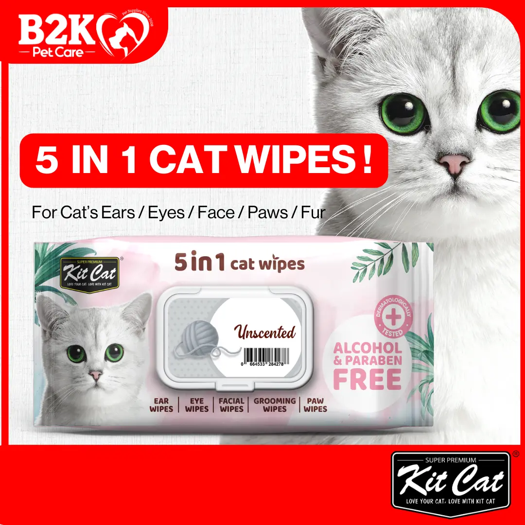 Kit Cat 5 in 1 Cat Wipes (80's) 15cm x 20cm | Alcohol & Paraben Free, Antibacterial