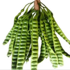 PETE PADI ISI 10 PCS/ PETE SEGAR PILIHAN/ PETE TUA/ PETE SUPER/ PETE WONOGIRI/ SAYURAN SEGAR