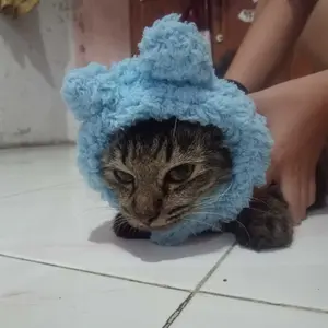 Topi Kucing atau Anjing Motif Beruang Lucu dan Hangat untuk Hewan Peliharaan Anda Tersedia dalam 2 Ukuran Melindungi dari Cuaca Dingin