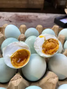 Telur asin kas brebres isi 10 butir masir & berminyak