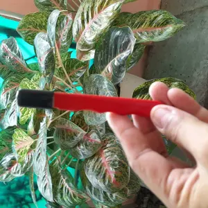 Pengasah Pisau Portabel Pengasah Pisau Genggam Saku Pocket Sharpener Knife Alat Asah Pemangkas Kebun Gunting Kapak Portable