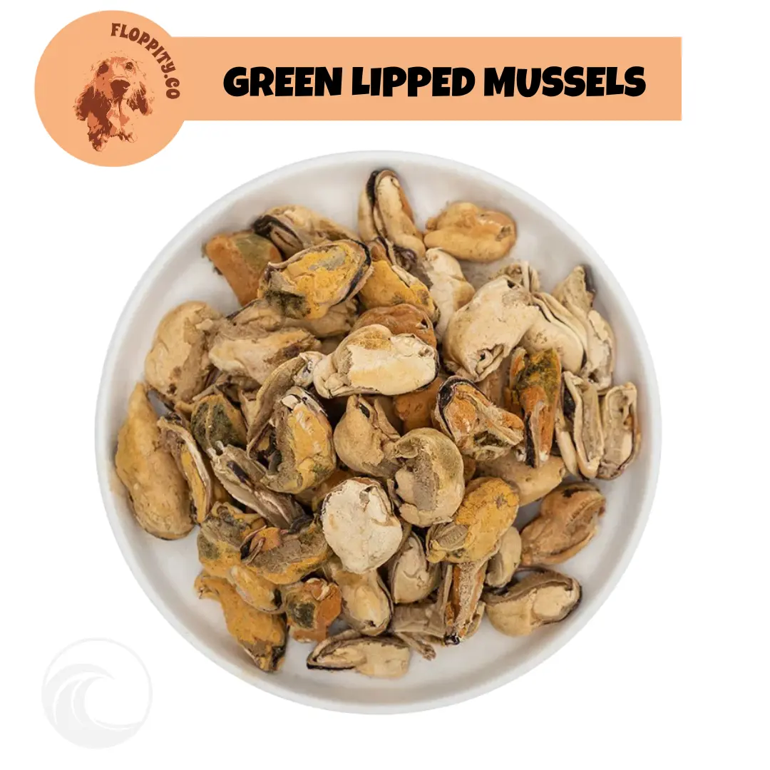 Floppityco Dog and Cat Training Treats - Premium Mini Green Lipped Mussels Freeze Dried Training Bites Cubes