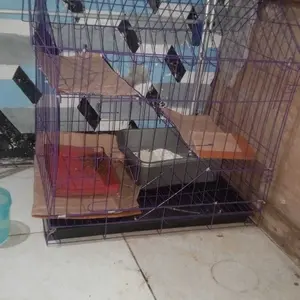 KANDANG KUCING MODEL ATAP RUMAH SIZE L 60x62x42CM