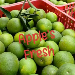 jeruk baby java pacitan 1kg Kuning