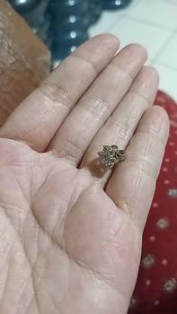 Product Review of Anting Tusuk Permata Import from a**m 0