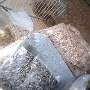 Buma Makanan Hamster Paket Bundling Hemat Pakan Hamster Mix 300gr Serbuk Kayu 300gr Pasir Zeolite 500gr Kuaci 100gr Ideal untuk Belanja Efisien