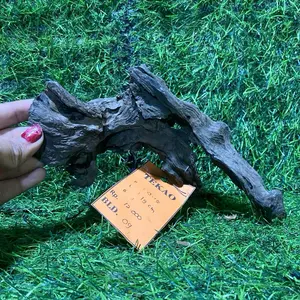 Dragon Wood Berkarakter - Dekorasi Rumah dengan Aksen Alami dan Unik Cakep Berkarakter untuk Interior Anda