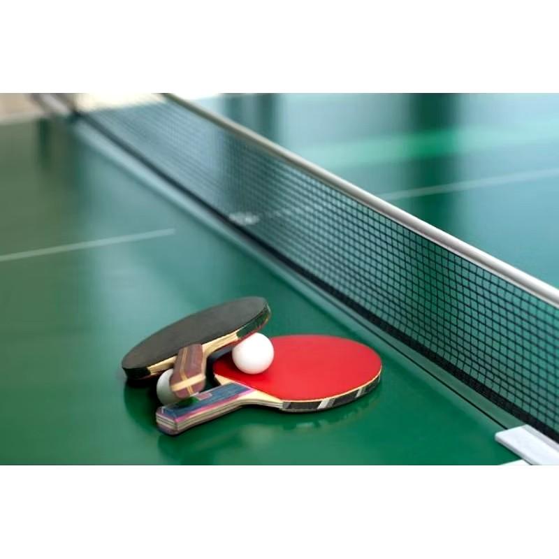 Product Introduction of Satu set perlengkapan tenis meja/2 raket 2 tiang 1 net 3 bola pingpong dan 3 bola 5