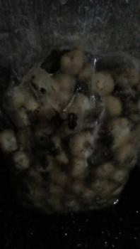 Product Review of 1kg sus coklat lumer premium soes coklat from t**i 1