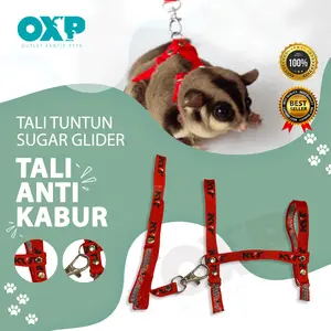 Tali harnes tuntun sugar glider tupai dan Marmut Guinea pig / Harness