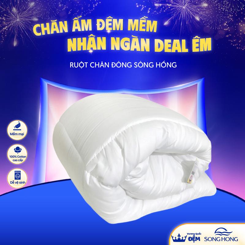 Ruột Chăn Đông Sông Hồng phân phối chính hãng tại Vương Quốc Đệm