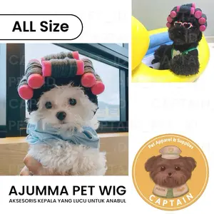 AJUMA PET WIG KOSTUM ANJING KUCING LUCU RAMBUT AJUMMA KOREA DOG CAT PHOTOSHOOT PROPS FOTO LUCU