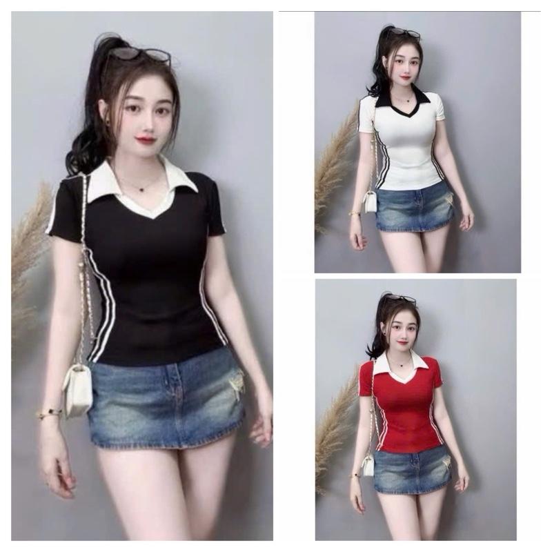 Áo thun polo form ôm Bigsize 45-85kg (582) chất liệu thun tăm co giãn cổ V cách điệu xinh xắn
