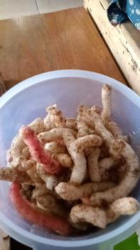 Product Review of Paket Gurilem & Kerupuk Mangkok Pedas isi 500 gram Food Snacks from M**a 2