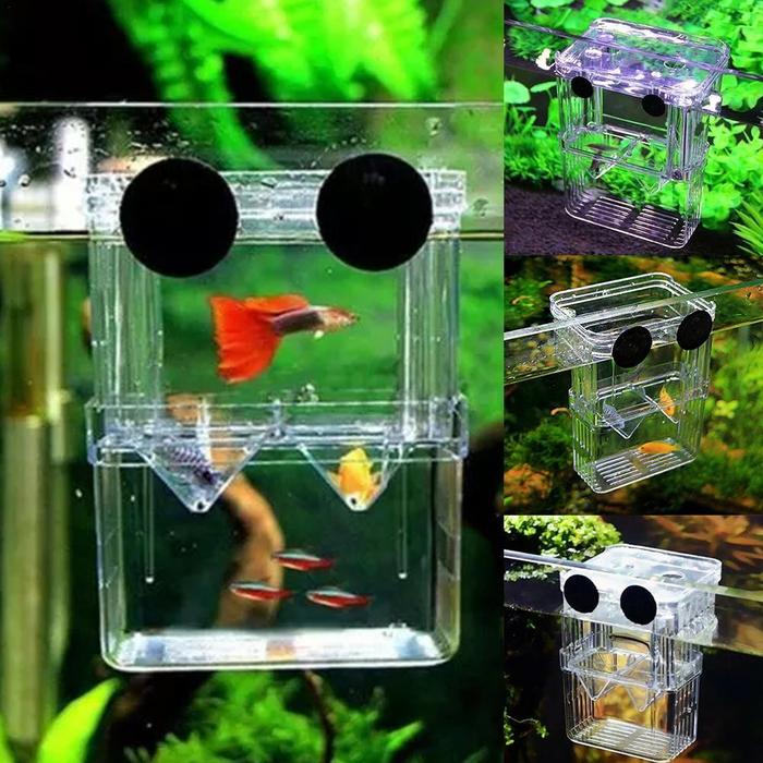Jual Aquarium Fish Breeder Box Betta Fish Tank Fish Breeding Isolation ...