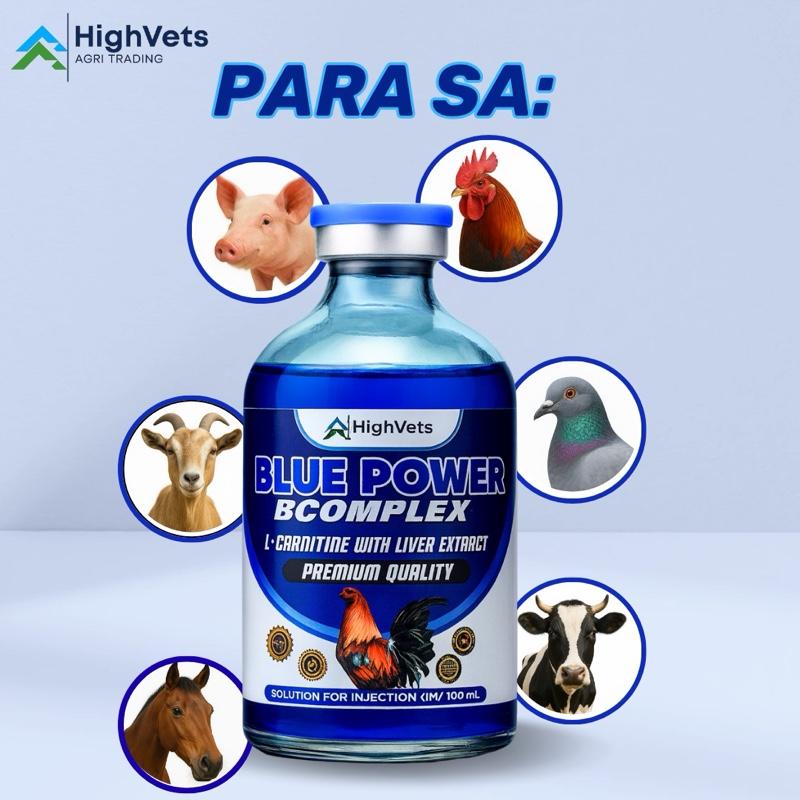 l carnitine for gamefowl Blue Power B Complex with L CARNITINE and Liver Extract Good For GameFowls  Conditioning, Chickens, Pigeons, For Poultry animal use Only